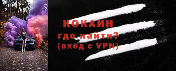 молекула духа Бородино