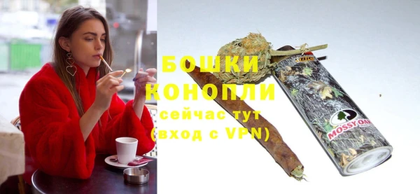 молекула духа Бородино