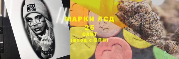 молекула духа Бородино