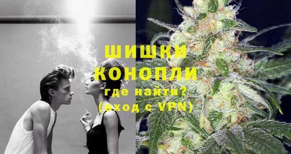 дживик Бронницы