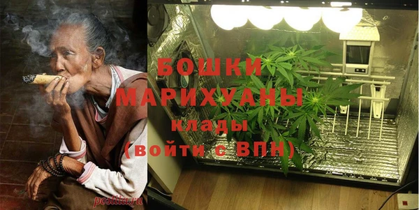 молекула духа Бородино