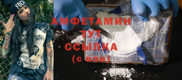 дживик Бронницы