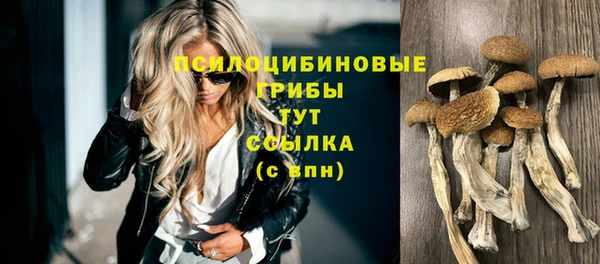 дживик Бронницы