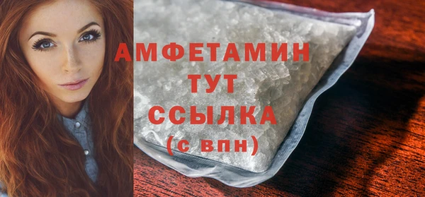 молекула духа Бородино