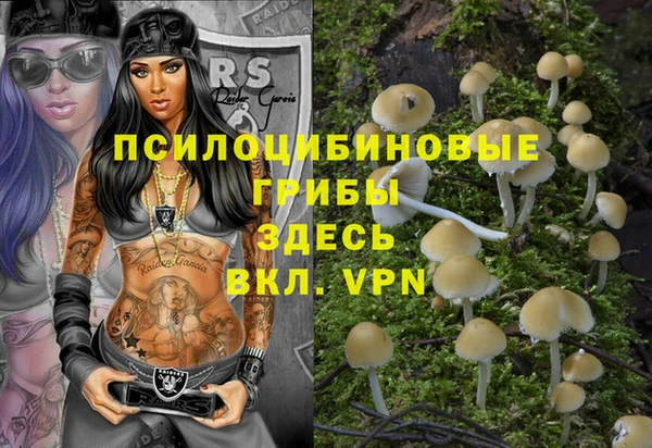 мдпв Бугульма