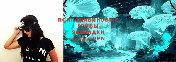 дживик Бронницы