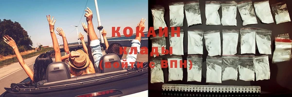 молекула духа Бородино