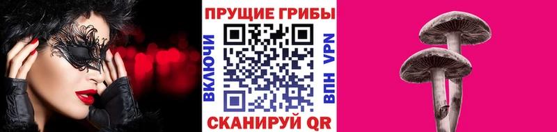 MEGA сайт  Киров  Псилоцибиновые грибы прущие грибы 